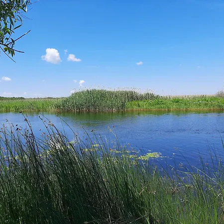 Deltarium Aegis Konukevi Sfântu Gheorghe